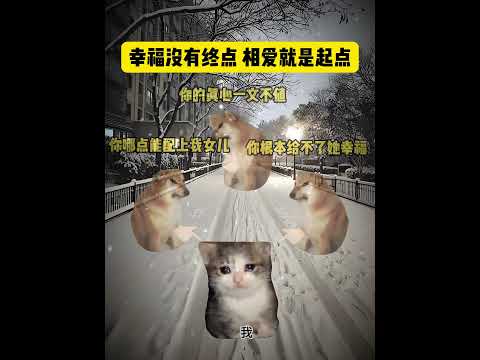 这波大舅哥上大分～ 有趣 猫meme 猫meme剧场 猫meme小剧场 内容过于真实  故事 貓 猫猫meme小剧场… サムネイル