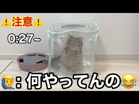 アクアさんが謎の行動をし始めました... サムネイル