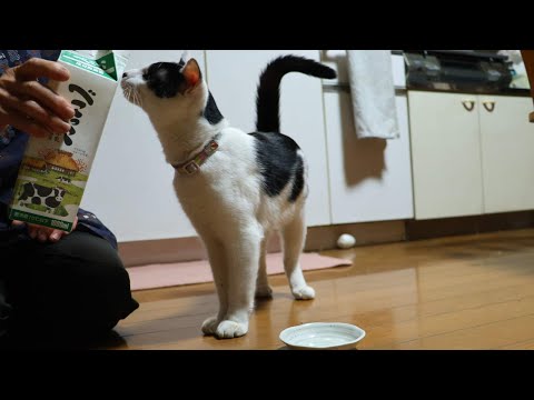 べこっこ牛乳　260117 サムネイル
