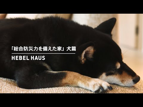 HEBEL HAUS｜ペットが幸せ、というしあわせ。 サムネイル
