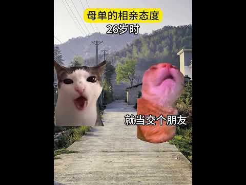 母单相亲的态度变化  有趣 猫meme 猫meme剧场 猫meme小剧场 内容过于真实  故事 貓 猫猫meme小剧场… サムネイル