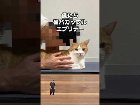 「猫バカップル」猫あるある|フルはApple Musicほか音楽アプリへ