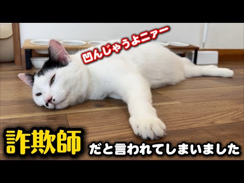 保護依頼の方から詐欺師と言われ電話を切られた日 サムネイル