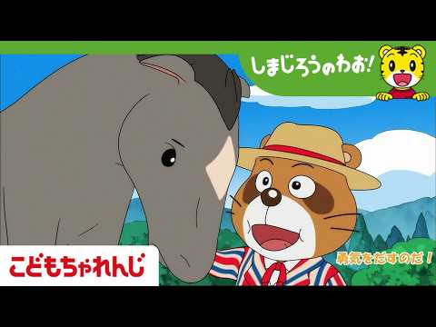 【16分アニメ】がんばれ　こうま│動物│しまじろうのわお！アニメ│しまじろうチャンネル公式