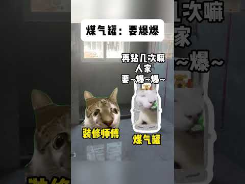 煤气罐：要爆爆嘛~ ##有趣 #猫meme #猫meme剧场 #猫meme小剧场 #内容过于真实  #故事 #貓 #猫… サムネイル