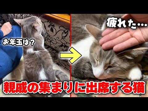 正月の親戚の集まりに律儀に参加して疲れ果ててしまったスカーです。 サムネイル