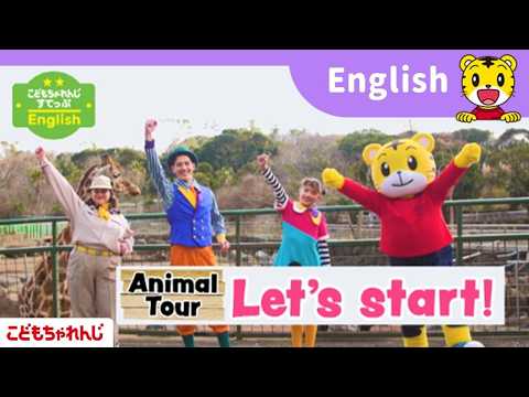 楽しい映像でアルファベットや英語フレーズにふれられる！〈すてっぷ English〉【しまじろうチャンネル公式】 サムネイル