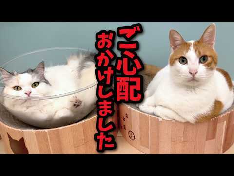 みなさまこの度は大変ご心配をおかけしました…！！ サムネイル