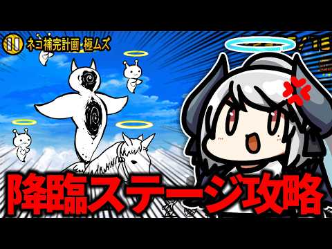 【にゃんこ大戦争】最強限定キャラで降臨ステージ無双します！！！！ サムネイル