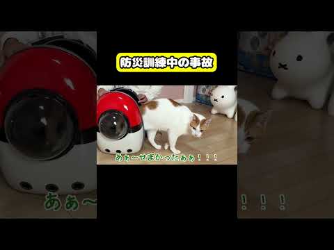 防災訓練中の事故　猫 おもしろ アテレコ ニャンチューバーつくし サムネイル