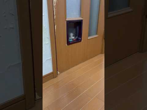 お前もついてこいや サムネイル