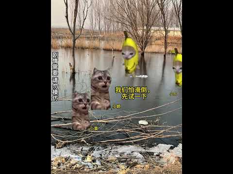 小时候沟里冻的冰可结实了，现在不行了🧐有趣 猫meme 猫meme剧场 猫meme小剧场 内容过于真实  故事 貓 猫… サムネイル