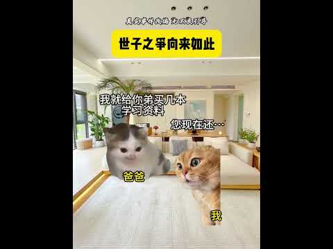 世子之争向来如此 有趣 猫meme 猫meme剧场 猫meme小剧场 内容过于真实  故事 貓 猫猫meme小剧场 喵…