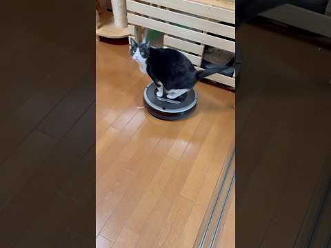 急所を狙う サムネイル