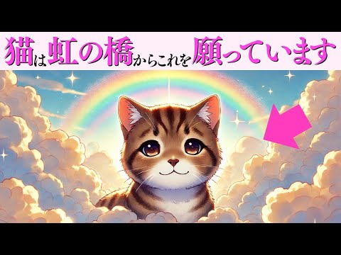 【猫が虹の橋から願っていること】猫の雑学 サムネイル