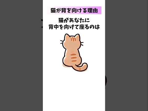 【猫の心理】猫があなたに背中を向ける理由【10選】 猫雑学 猫豆知識 猫心理 Shorts 音声「VOICEVOX：ず… サムネイル