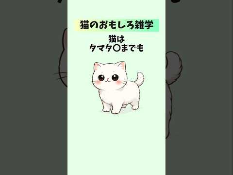 【番外編】真面目に考えたら負け！猫の可愛さの正体 猫 雑学 トリビア かわいい 音声「VOICEVOX:ずんだもん」さん サムネイル
