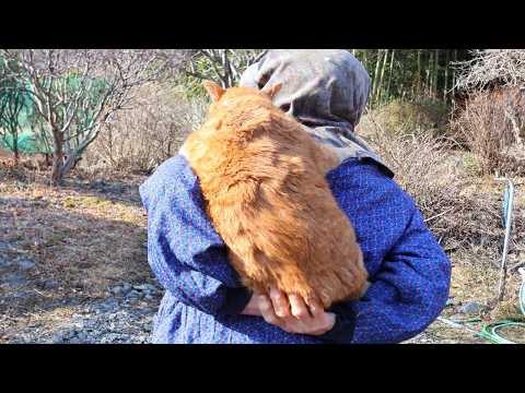 麦ちゃんをおんぶ　260409 サムネイル