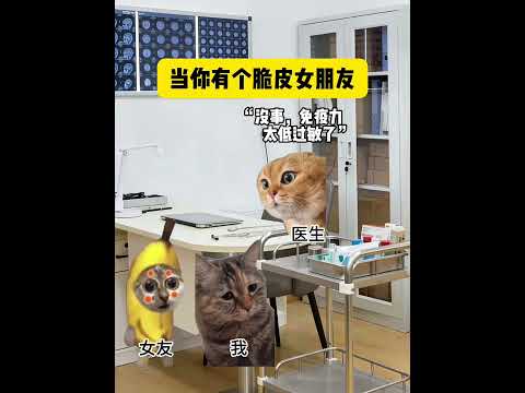 我的脆皮女朋友🐱 有趣 猫meme 猫meme剧场 猫meme小剧场 内容过于真实  故事 貓 猫猫meme小剧场 喵…