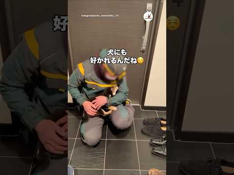 宅配のお兄さんと会って3回目でこの懐きよう｜PECO サムネイル