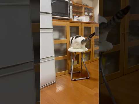 コソ泥の現行犯です サムネイル