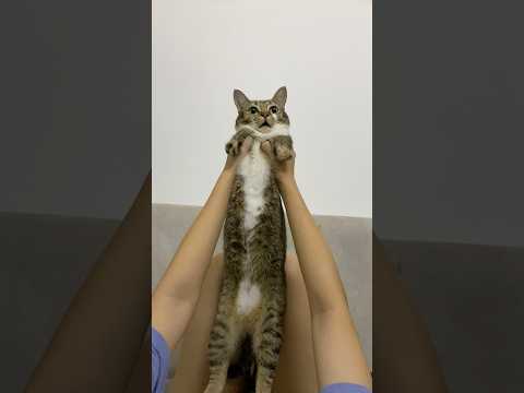 Hello～ サムネイル