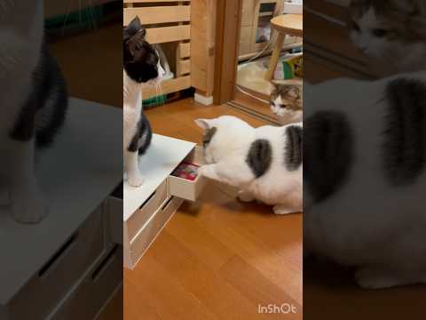 油断させといて サムネイル