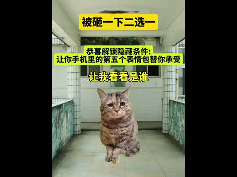 被砸一下二选一 有趣 猫meme 猫meme剧场 猫meme小剧场 内容过于真实  故事 貓 猫猫meme小剧场 喵不… サムネイル