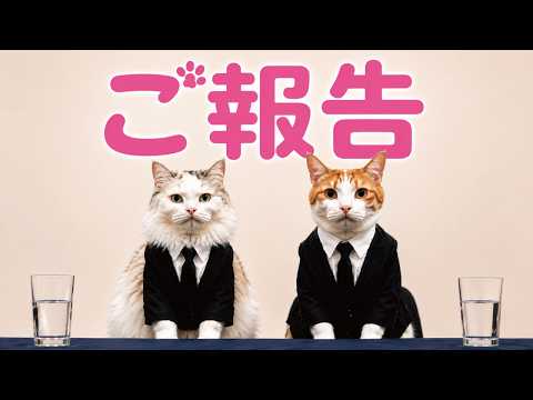 つくしからうれしいご報告があります
