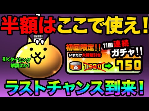 半額ガチャをいつ使うのがお得か解説！！あと３日で神報酬がGETできなくなるぞ！？にゃんこ大戦争で超極ネコ祭までにやるべ… サムネイル