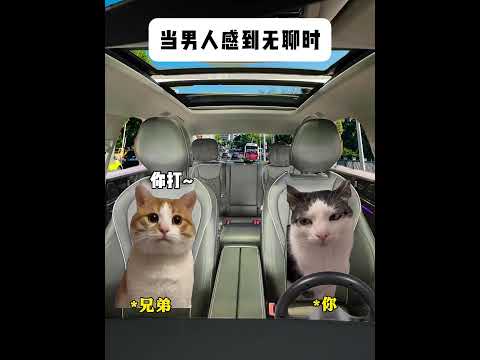 当男人感到无聊时 有趣 猫meme 猫meme剧场 猫meme小剧场 内容过于真实  故事 貓 猫猫meme小剧场 喵… サムネイル