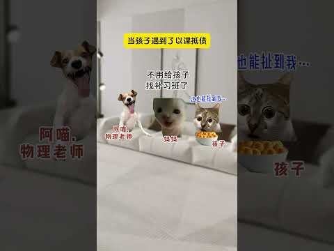 当孩子在假期遇到以课抵债 有趣 猫meme 猫meme剧场 猫meme小剧场 内容过于真实  故事 貓 猫猫meme小… サムネイル