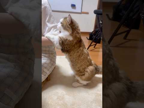 またこんなんにさせてん