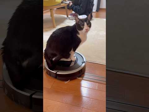 動かんねんけど サムネイル