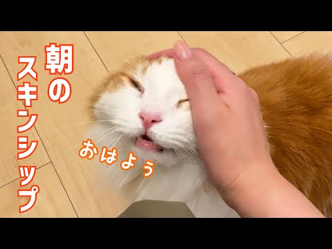 朝のスキンシップ サムネイル