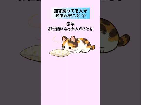 猫を飼っている人が知るべきこと【10選①】 猫 雑学 豆知識 トリビア 音声「VOICEVOX:ずんだもん」さん サムネイル