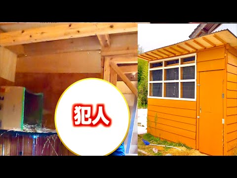 卵泥棒の被害に遭っているので防犯カメラ設置してみたら。。 サムネイル