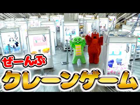 【おしごとたいけん】おうちでクレーンゲームが楽しめるタイクレでお仕事体験！タイトー タイクレ タイトーステーション ク… サムネイル