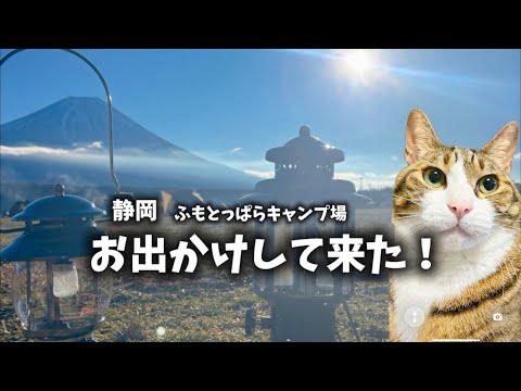 お出かけして来た！