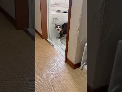 「オデコ〜」「きゃっ」 サムネイル