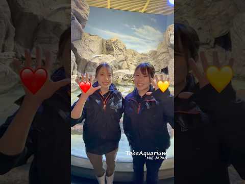 《鳥羽水族館》❤️✖️💛を混ぜたら何色になる⁉️ 鳥羽水族館 tobaaquarium オキゴンベ colormixi… サムネイル