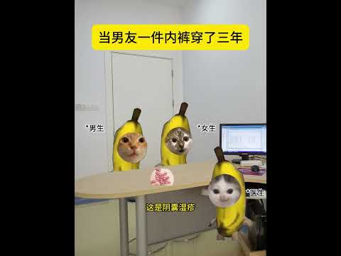 当男友一件内裤穿了三年 有趣 猫meme 猫meme剧场 猫meme小剧场 内容过于真实  故事 貓 猫猫meme小剧…