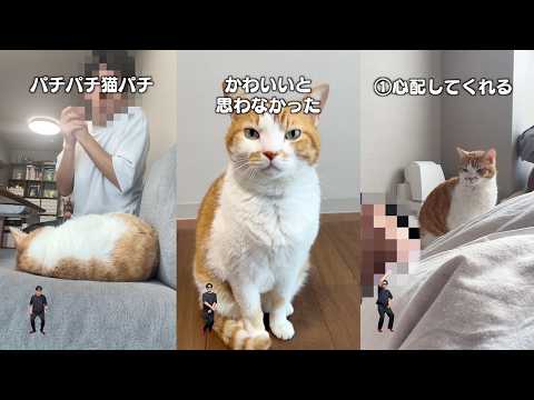 猫飼ってる人にしかワカラナイ６連発 サムネイル