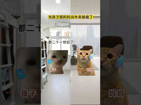 当孩子跟妈妈说外卖被偷了 有趣 猫meme 猫meme剧场 猫meme小剧场 内容过于真实  故事 貓 猫猫meme小…