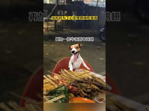 当妈妈为了心安理得吃独食 有趣 猫meme 猫meme剧场 猫meme小剧场 内容过于真实  故事 貓 猫猫meme小… サムネイル
