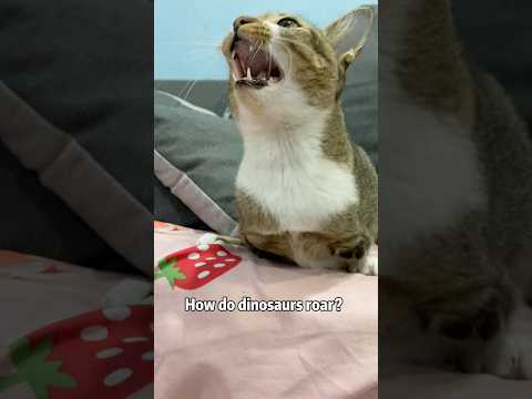 How dinosaurs roar 🦖