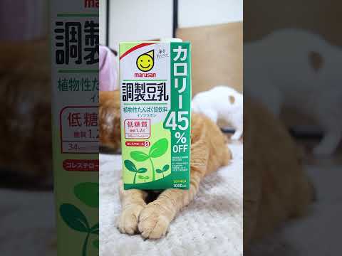 調製豆乳 カロリー45％オフ 1000ml　260605　 cat のせ猫 cute　 カロリー45％オフ cutec…