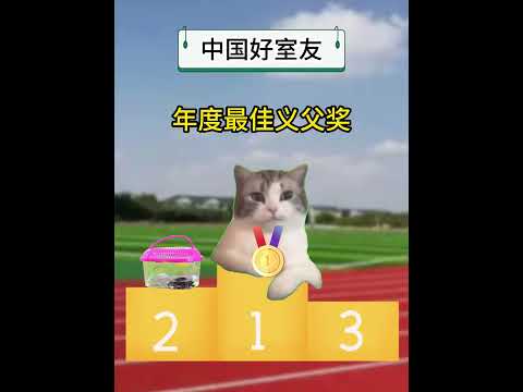 这就是中国好室友！有趣 猫meme 猫meme剧场 猫meme小剧场 内容过于真实  故事 貓 猫猫meme小剧场 喵… サムネイル