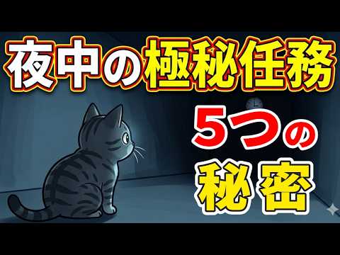 【猫の行動😻】あなたが寝たあと猫がひっそり行っている5つの秘密 猫 雑学 豆知識 トリビア サムネイル