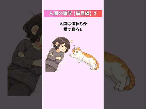 猫から見た人間が愛おしすぎた件【人間の雑学(猫目線)③】  猫 雑学 豆知識 トリビア 音声「VOICEVOX:ずんだ… サムネイル